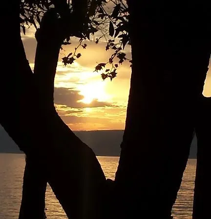 Parco Del Glamping And Anguillara Sabazia