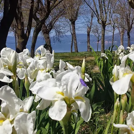 Parco Del Glamping And Anguillara Sabazia
